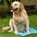 Toalha de banho de chenille para cães e gatos para animais de estimação